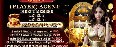 VIP Agent Partnership promotion
